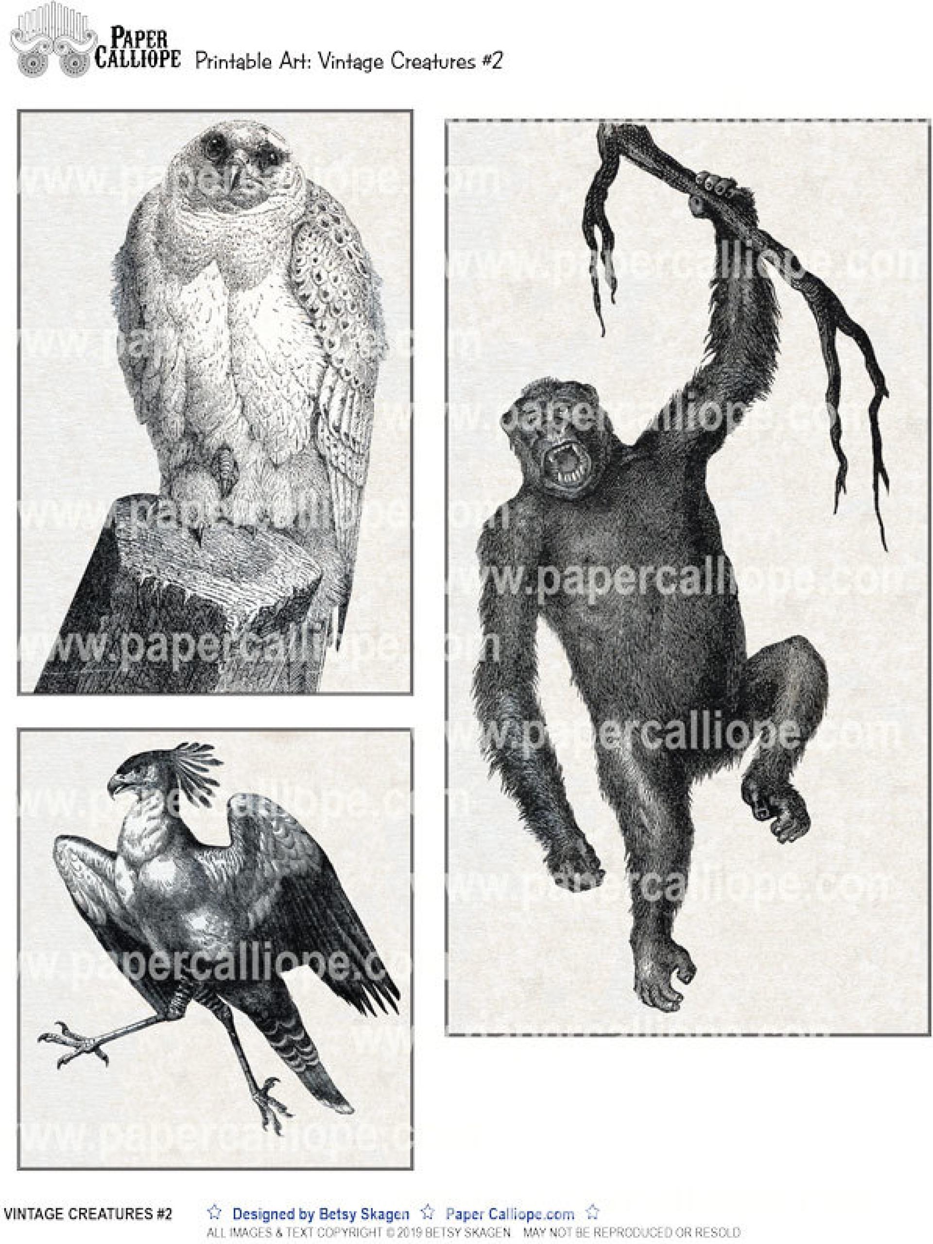 VINTAGE CREATURES 2