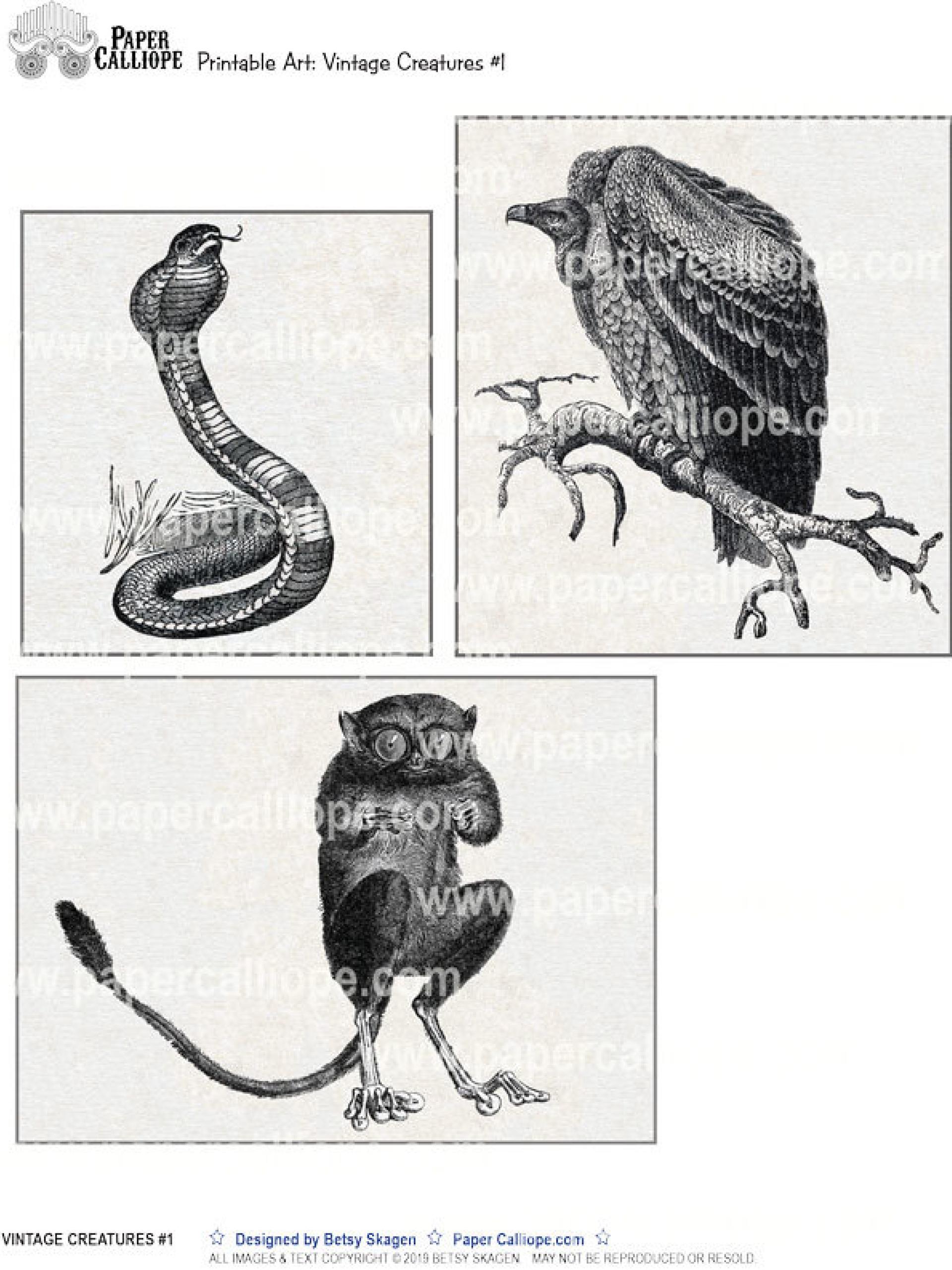 VINTAGE CREATURES 1