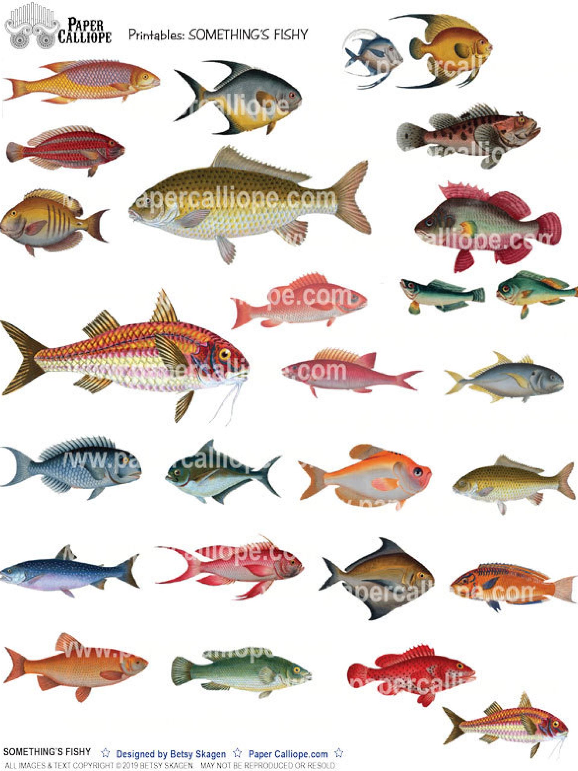 SOMETHING'S FISHY