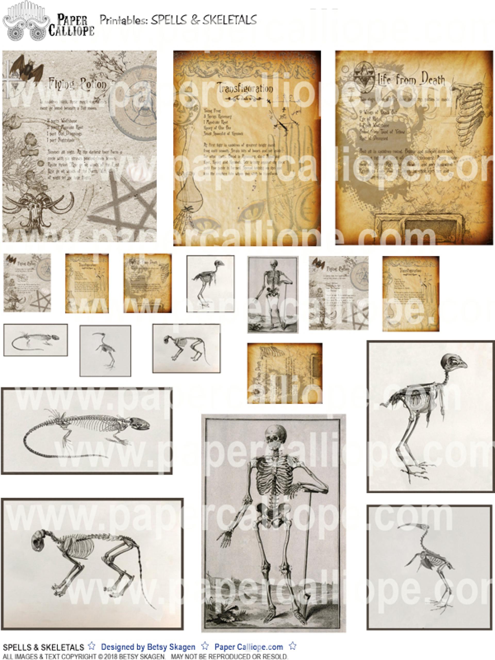 Spells & Skeletals