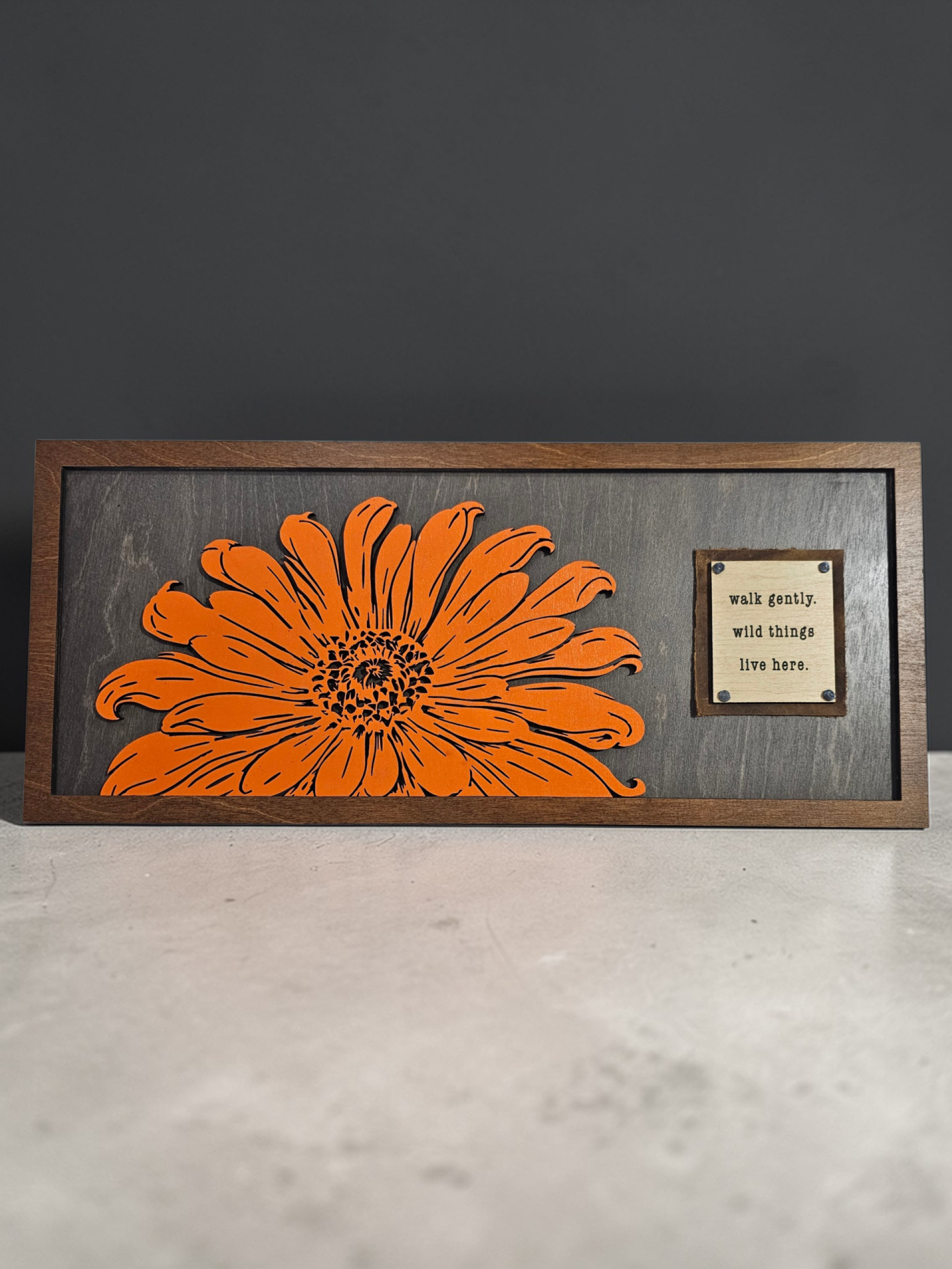 Walk Gently - Orange -AA-