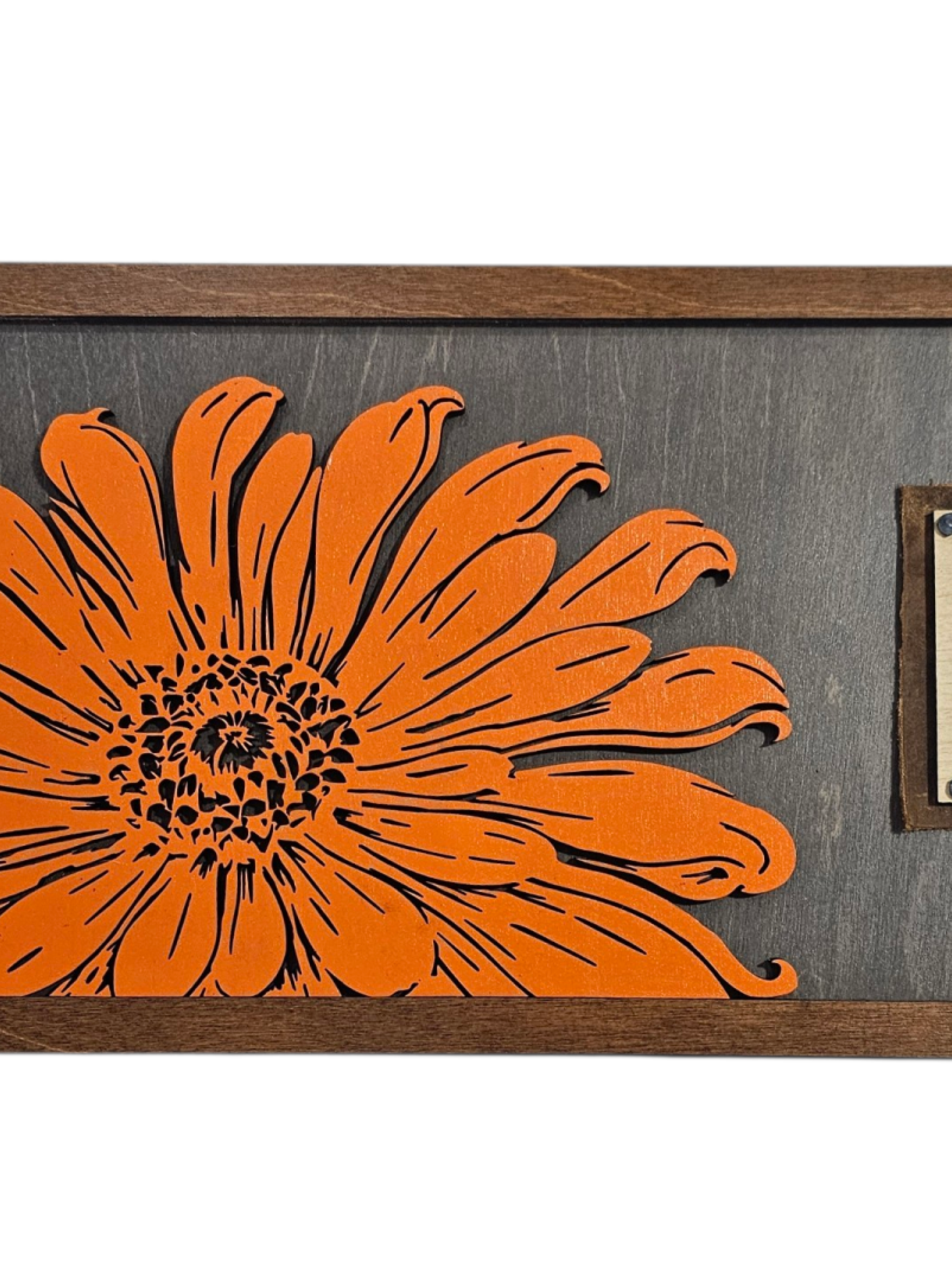 Walk Gently - Orange -AA-